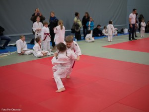 2013 03 05 - 063 Per Ottosson